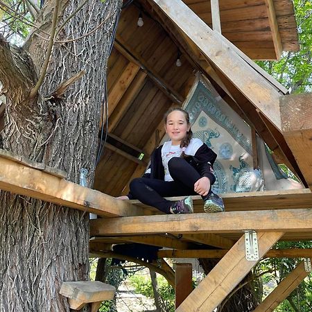 Casa Din Povesti In Mijlocul Naturii! アラド エクステリア 写真