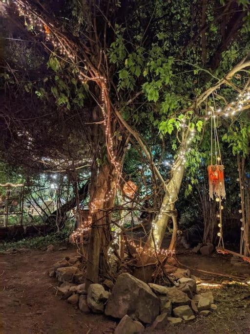 Casa Din Povesti In Mijlocul Naturii! アラド エクステリア 写真