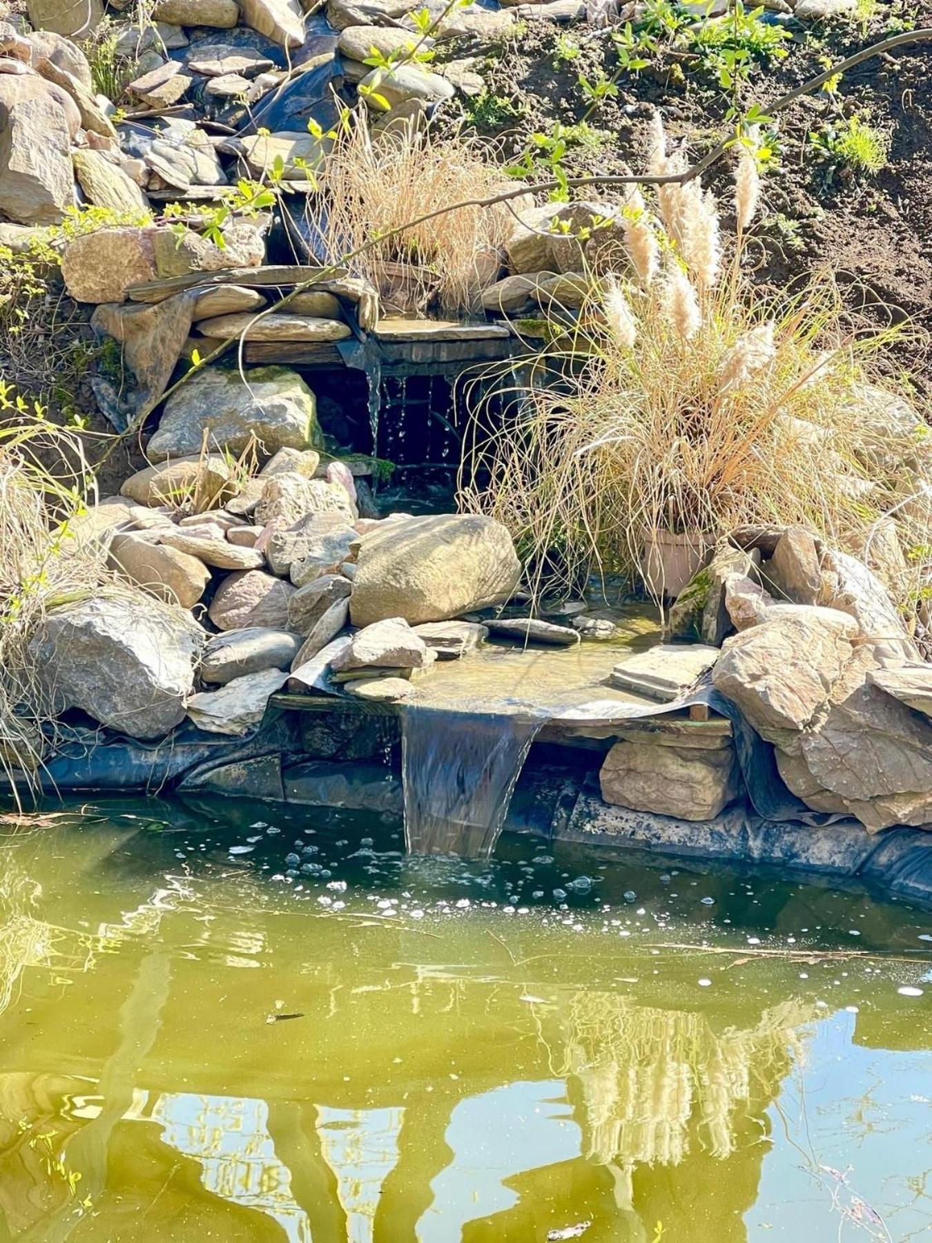 Casa Din Povesti In Mijlocul Naturii! アラド エクステリア 写真